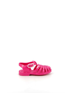 Sun Fuchsia