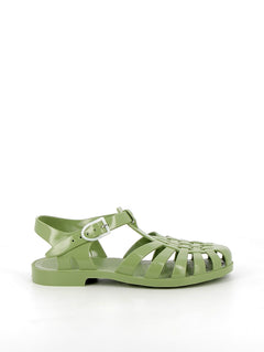 Sun Olive