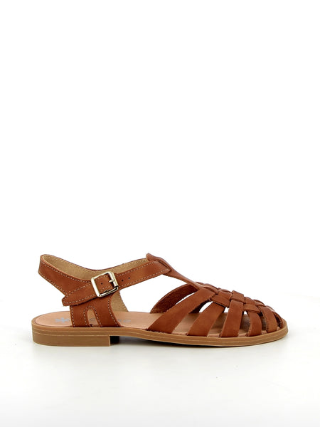 sunville_new_cognac-